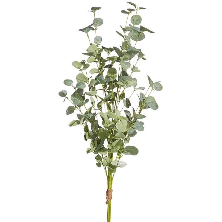 35” Eucalyptus Bundle