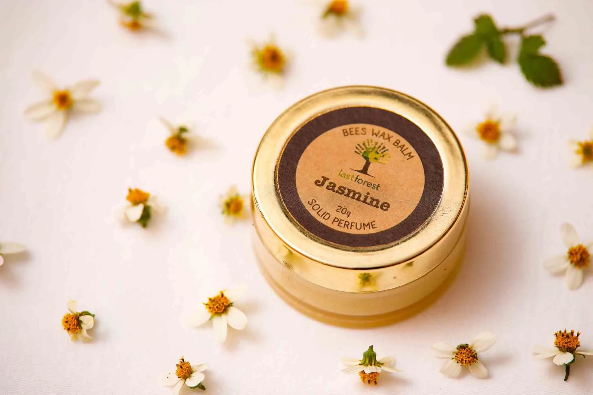 Beeswax Solid Perfume - Jasmine - Last Forest
