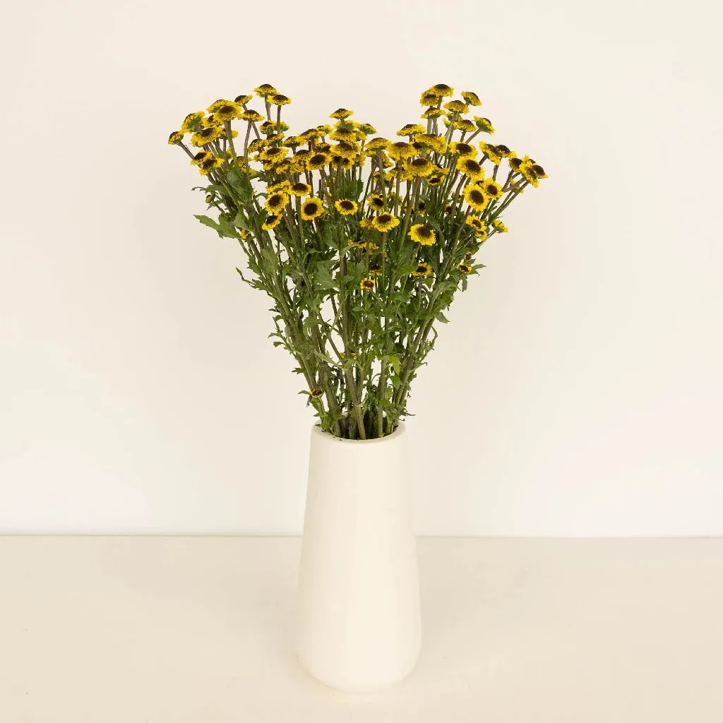 Mini Yellow Santini